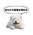 Message Stickers (Samoyed Dogs) JP（個別スタンプ：12）