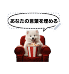 Message Stickers (Samoyed Dogs) JP（個別スタンプ：14）