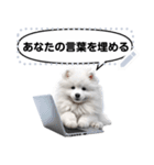 Message Stickers (Samoyed Dogs) JP（個別スタンプ：15）