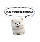 Message Stickers (Samoyed Dogs) JP（個別スタンプ：17）