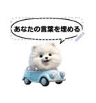 Message Stickers (Samoyed Dogs) JP（個別スタンプ：19）