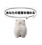 Message Stickers (Samoyed Dogs) JP（個別スタンプ：20）