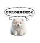 Message Stickers (Samoyed Dogs) JP（個別スタンプ：21）