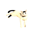 うちの猫がお邪魔します（個別スタンプ：13）