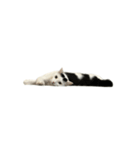 うちの猫がお邪魔します（個別スタンプ：27）