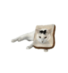 うちの猫がお邪魔します（個別スタンプ：32）