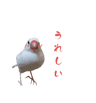 いやしのシロちゃん（個別スタンプ：8）