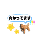 くうのスタンプ3.（個別スタンプ：4）