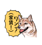 それいけ☆課金勢（個別スタンプ：5）