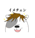 犬氏②（個別スタンプ：9）