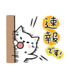 しろねこの万能な日常使いスタンプ（個別スタンプ：22）