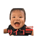TYC②＋®️（個別スタンプ：15）