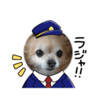 チワシェル（個別スタンプ：6）