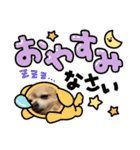 チワシェル（個別スタンプ：12）