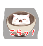 ねこどんぶり2（個別スタンプ：2）