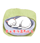 ねこどんぶり2（個別スタンプ：7）