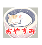 ねこどんぶり2（個別スタンプ：28）