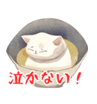 ねこどんぶり2（個別スタンプ：38）