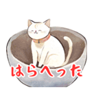 ねこどんぶり2（個別スタンプ：40）