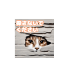 ねこキュートスタンプ111（個別スタンプ：12）