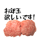 ひき肉の年末年始！！【普段使いにも】（個別スタンプ：10）