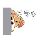 世界のおおはようの言い方（個別スタンプ：6）