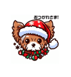 ヨーキーのクリスマス仕様スタンプ（個別スタンプ：14）