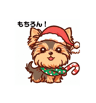 ヨーキーのクリスマス仕様スタンプ（個別スタンプ：28）