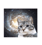 宇宙猫(Space Cat)（個別スタンプ：11）