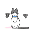 動け！！とてつもなく猫（個別スタンプ：1）