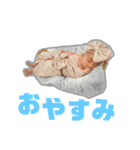 himeの日常スタンプ（個別スタンプ：6）