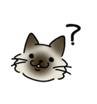 彗すたんぷ！（個別スタンプ：1）