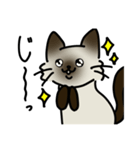 彗すたんぷ！（個別スタンプ：2）
