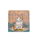 ねこキュート絵文字3（個別スタンプ：15）