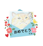 HANA PETS 02（個別スタンプ：5）