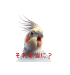 オカメインコの驚きの表情リアクション（個別スタンプ：30）