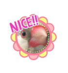ぶんちょのすたんぷ（個別スタンプ：3）