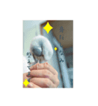 ぶんちょのすたんぷ（個別スタンプ：4）