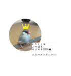 ぶんちょのすたんぷ（個別スタンプ：5）