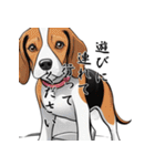 犬とのおしゃべり（個別スタンプ：13）