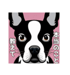 犬とのおしゃべり（個別スタンプ：29）