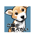 犬とのおしゃべり（個別スタンプ：34）