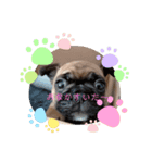 かわちい犬ちゃん（個別スタンプ：3）
