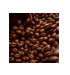リアルなコーヒー豆（個別スタンプ：1）