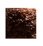リアルなコーヒー豆（個別スタンプ：5）