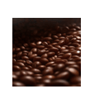 リアルなコーヒー豆（個別スタンプ：22）