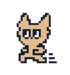 ドットチワワ。（個別スタンプ：1）