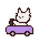 ドットチワワ。（個別スタンプ：14）