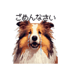 ドット絵 シェットランドシープドッグ 40種（個別スタンプ：22）