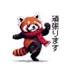 ドット絵 冬のレッサーパンダ 40種 定番（個別スタンプ：13）